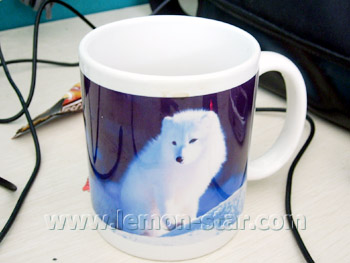 Mug sample